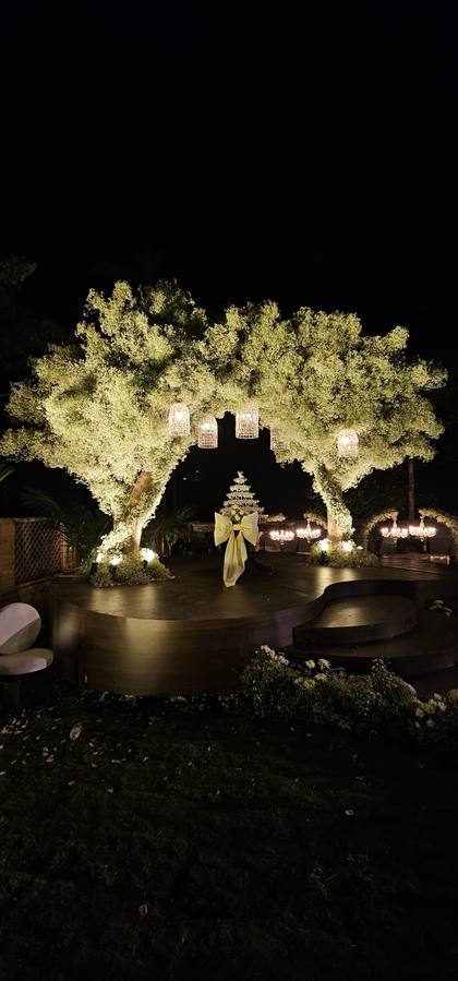 Stage and Gate / Entrance — Reception decor — Casa Waters